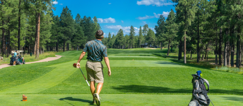 mejor batería de litio para carrito de golf