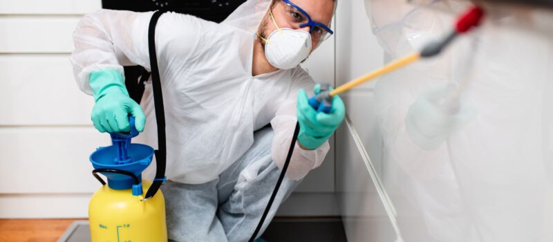 pest control in Delaware