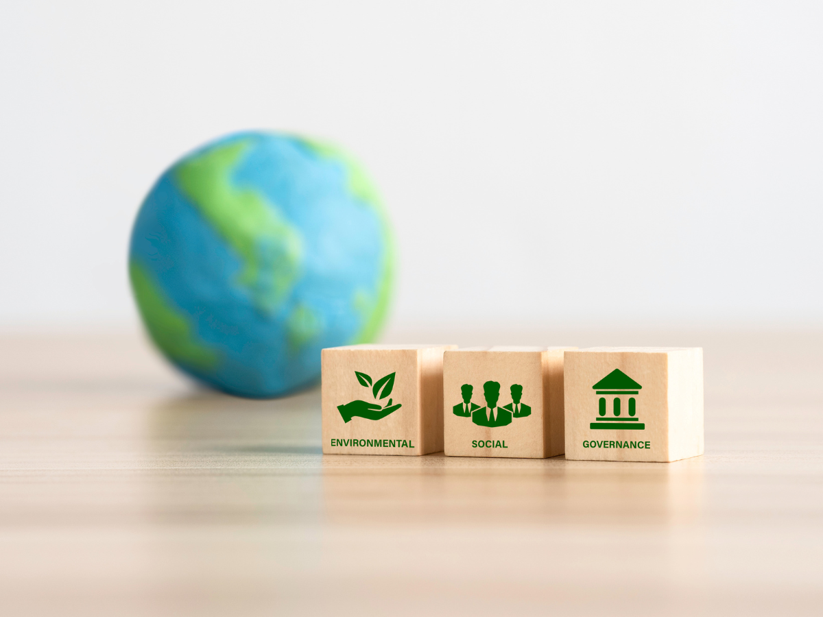 climate action for sustainable development
