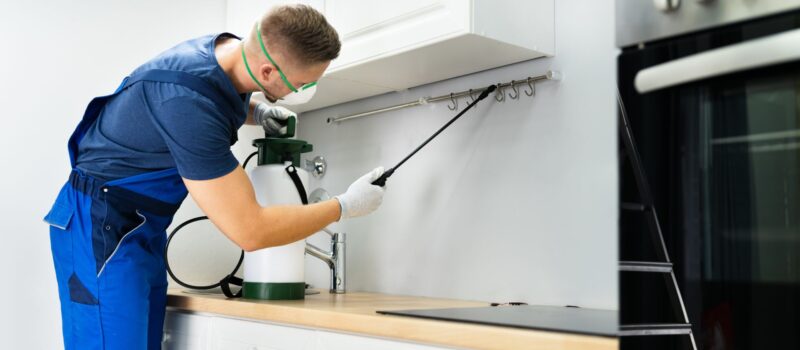 pest control in Wilmington