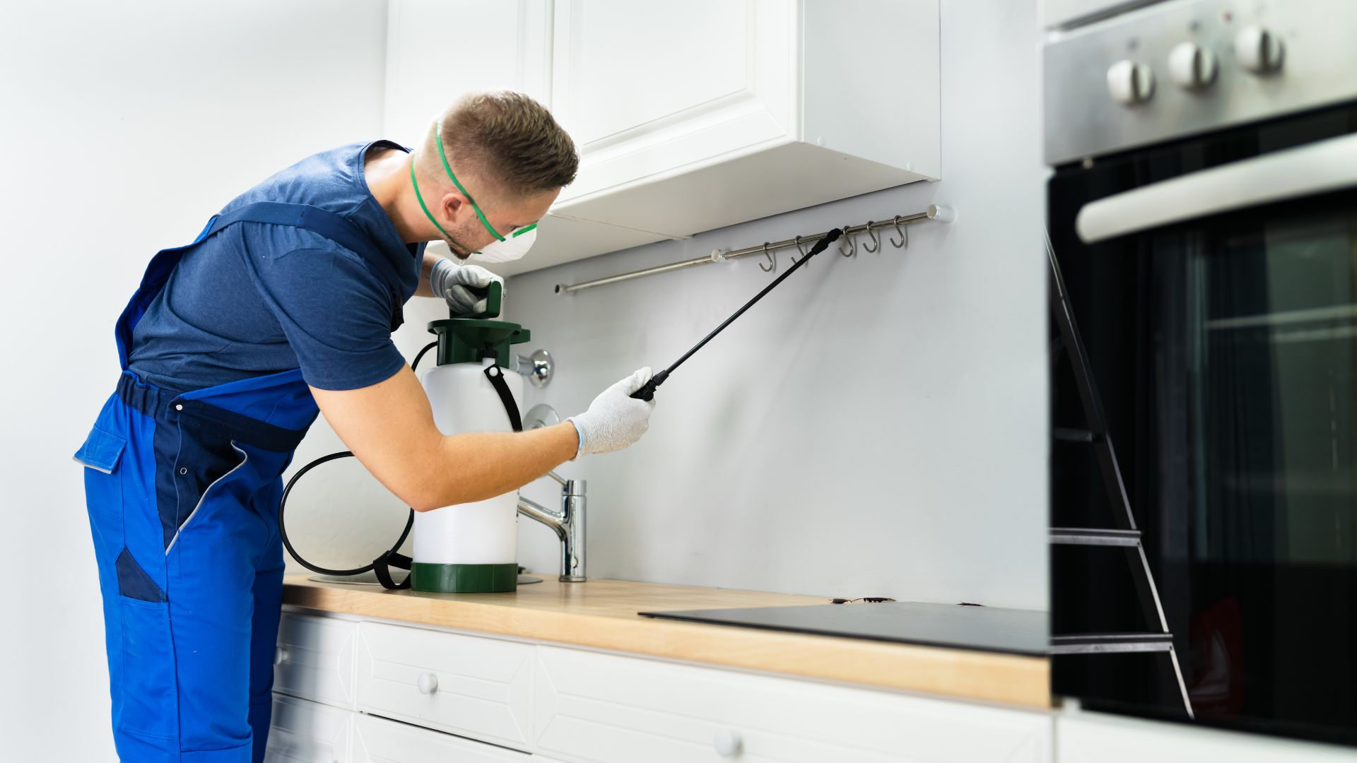 pest control in Wilmington