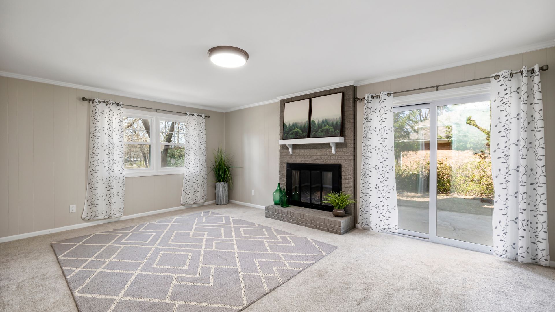 professional carpet cleaning