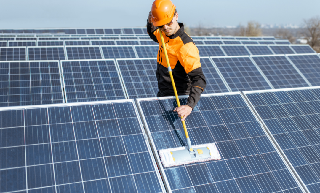 solar panel cleaning service