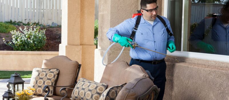 mosquito control Wilmington
