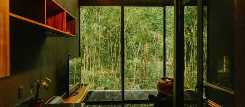 Interior Design Practice